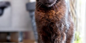 Beitragsbild des Blogbeitrags Vorher/Nachher #4