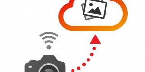 Beitragsbild des Blogbeitrags Backup: Fotos deiner Canon EOS on the fly sichern