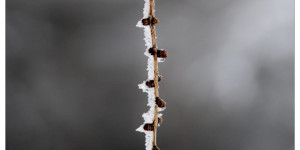 Beitragsbild des Blogbeitrags #fotomontag #314