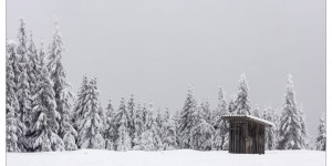 Beitragsbild des Blogbeitrags #fotomontag #315