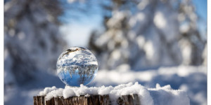 Beitragsbild des Blogbeitrags #fotomontag #316