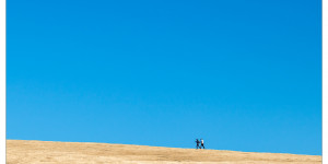 Beitragsbild des Blogbeitrags #fotomontag #322