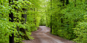 Beitragsbild des Blogbeitrags #fotomontag #331