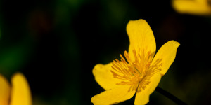 Beitragsbild des Blogbeitrags #fotomontag #332