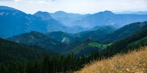 Beitragsbild des Blogbeitrags #fotomontag #345