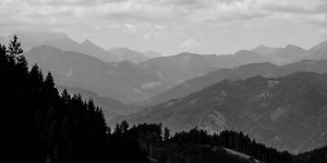 Beitragsbild des Blogbeitrags #fotomontag #346