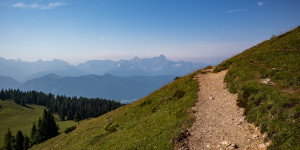Beitragsbild des Blogbeitrags #fotomontag #347