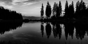 Beitragsbild des Blogbeitrags #fotomontag #352