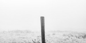 Beitragsbild des Blogbeitrags Video: Nebel fotografieren