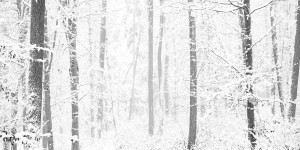 Beitragsbild des Blogbeitrags Video: Schnee fotografieren