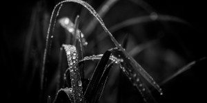 Beitragsbild des Blogbeitrags #fotomontag #402