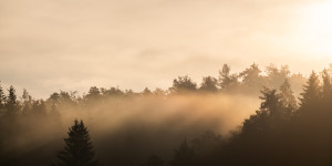 Beitragsbild des Blogbeitrags Natur im Spätsommer – September 2022