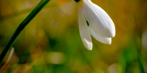 Beitragsbild des Blogbeitrags #fotomontag #429