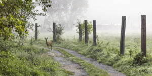Beitragsbild des Blogbeitrags #fotomontag #457