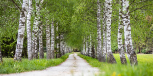 Beitragsbild des Blogbeitrags Am Wendepunkt der eigenen Fotografie