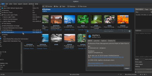 Beitragsbild des Blogbeitrags digiKam – Erfahrungsbericht