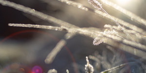 Beitragsbild des Blogbeitrags #fotomontag #464 