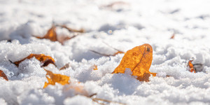 Beitragsbild des Blogbeitrags #fotomontag #466