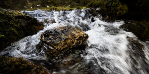 Beitragsbild des Blogbeitrags #fotomontag #470