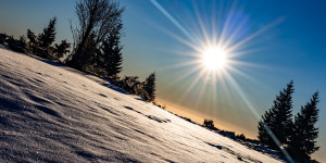 Beitragsbild des Blogbeitrags #fotomontag #474