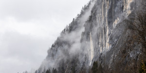 Beitragsbild des Blogbeitrags Im Regen – Februar 2024