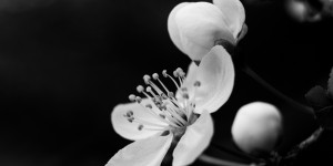 Beitragsbild des Blogbeitrags #fotomontag #482