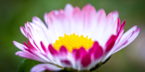 Beitragsbild des Blogbeitrags #fotomontag #483