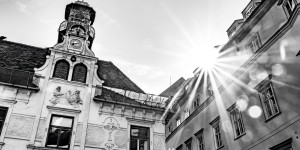 Beitragsbild des Blogbeitrags #fotomontag #493