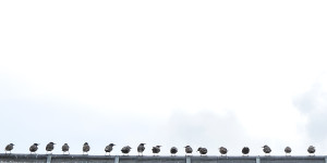 Beitragsbild des Blogbeitrags #fotomontag #499
