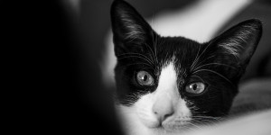 Beitragsbild des Blogbeitrags #fotomontag #502