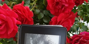 Beitragsbild des Blogbeitrags Rezension