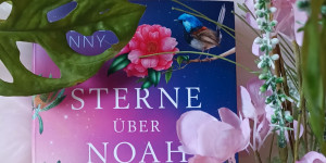 Beitragsbild des Blogbeitrags Rezension Sterne über Noah Valley