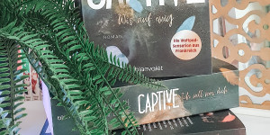 Beitragsbild des Blogbeitrags Rezensione Captive Band II