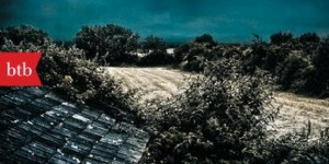 Beitragsbild des Blogbeitrags „Blumenkinder“ von Meike Dannenberg 
