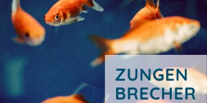 Beitragsbild des Blogbeitrags #4Wochengemeinsamdaheim – Tag 3 – Zungenbrecher
