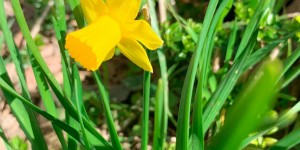 Beitragsbild des Blogbeitrags #4Wochengemeinsamdaheim – Tag 4 – Feiertag