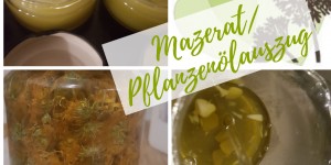 Beitragsbild des Blogbeitrags Herstellung Mazerat/ Ölauszug