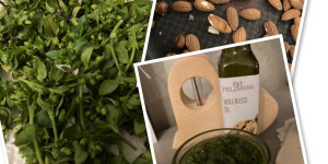 Beitragsbild des Blogbeitrags Pesto mit Vogelmiere 