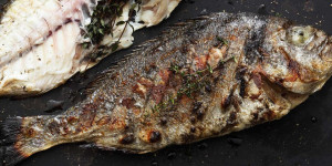 Beitragsbild des Blogbeitrags Grillkurs Fisch Spezial – Ideal für alle Fans von Fischen und Meeresrüchten 