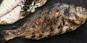 Beitragsbild des Blogbeitrags Grillkurs Fisch Special