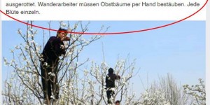 Beitragsbild des Blogbeitrags Sarah Wiener und die Fake-News.