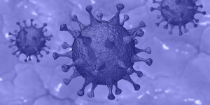 Beitragsbild des Blogbeitrags Corona Antigen-Test.