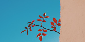 Beitragsbild des Blogbeitrags Jahresvorschau 2021