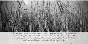 Beitragsbild des Blogbeitrags Österreichische Mördergeschichten: Die Bestie von Steyr 