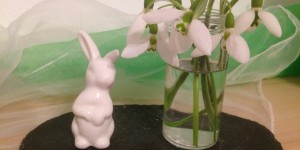 Beitragsbild des Blogbeitrags Warum Schnee dem Schneeglöckchen nichts ausmacht…