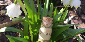 Beitragsbild des Blogbeitrags 20. März – OSTARA