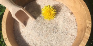 Beitragsbild des Blogbeitrags Jahreszeitensalz