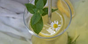 Beitragsbild des Blogbeitrags coole Kamille