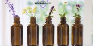 Beitragsbild des Blogbeitrags Hydrolate – Pflanzenpower für die Haare