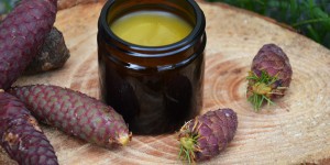 Beitragsbild des Blogbeitrags Kostbarkeiten aus dem Wald: Fichtenzapfen-Balsam
